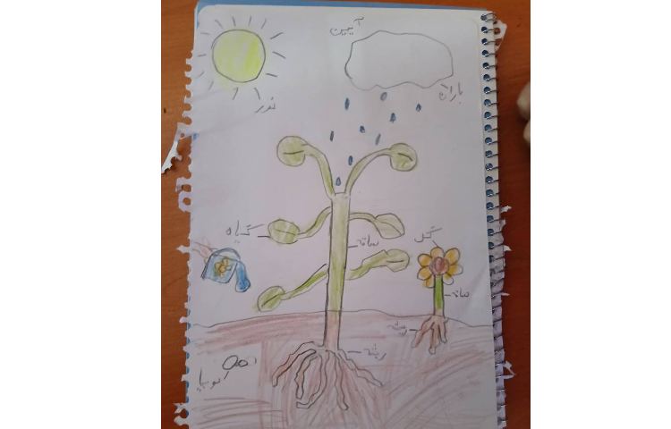 تدریس علوم و خلاقیت هنری دانش‌آموزان 1