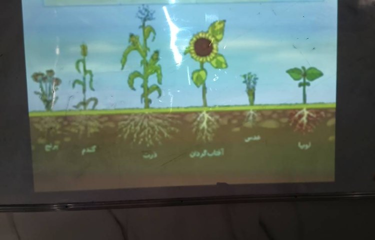 تدریس علوم و خلاقیت هنری دانش‌آموزان 3