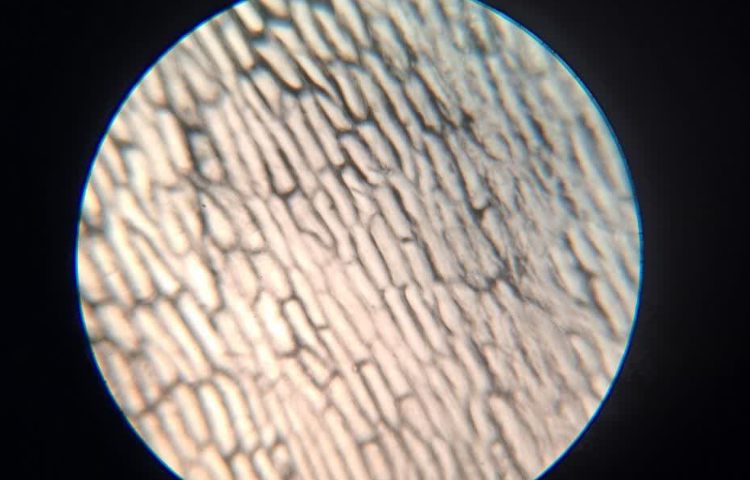 تدریس علوم 1