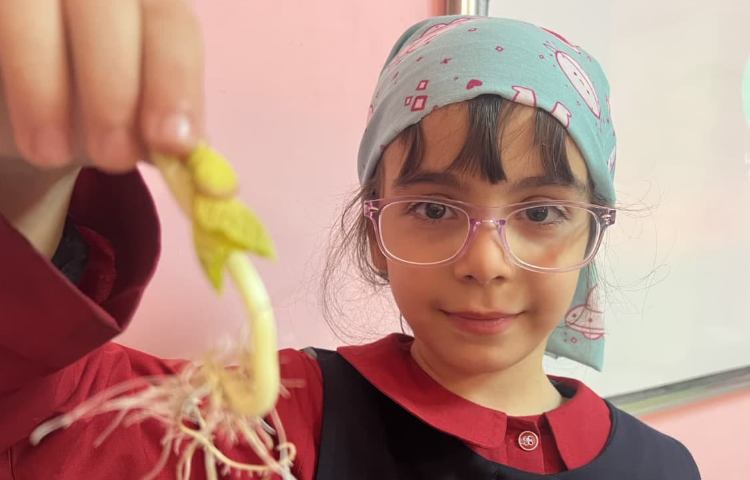 تدریس علوم 3