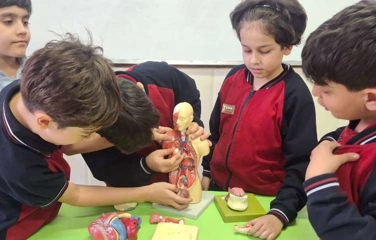 تدریس فصل 10 علوم (بدن ما 2) 5