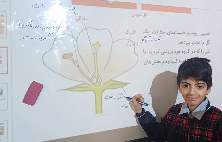 تدریس قسمتی از درس گیاهان 1