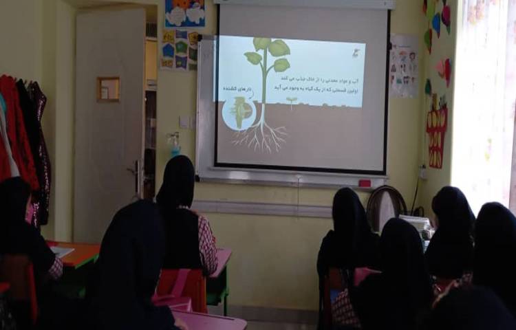 تدریس مبحث از ریشه تا برگ از کتاب علوم 2