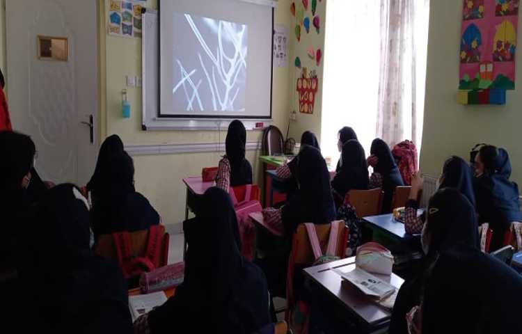 تدریس مبحث از ریشه تا برگ از کتاب علوم 3