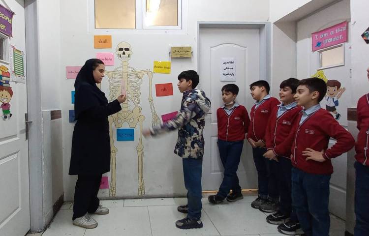 تدریس مبحث اسکلت بدن انسان-زنگ Science