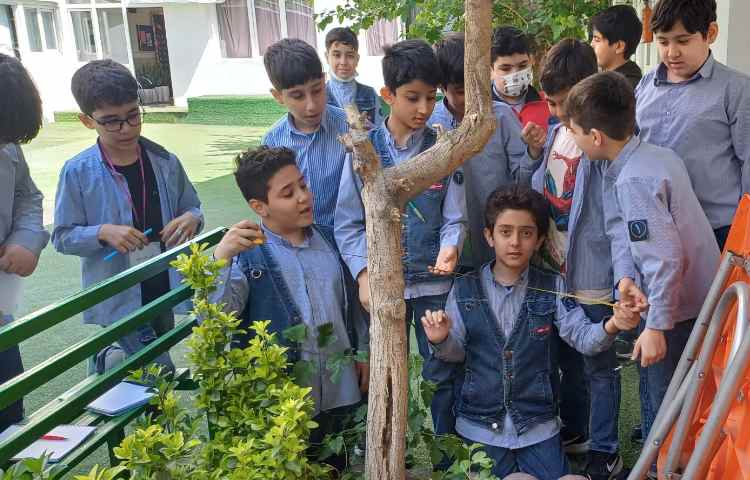 تدریس محیط و مساحت و کار عملی اندازه گیری محیط باغچه مدرسه