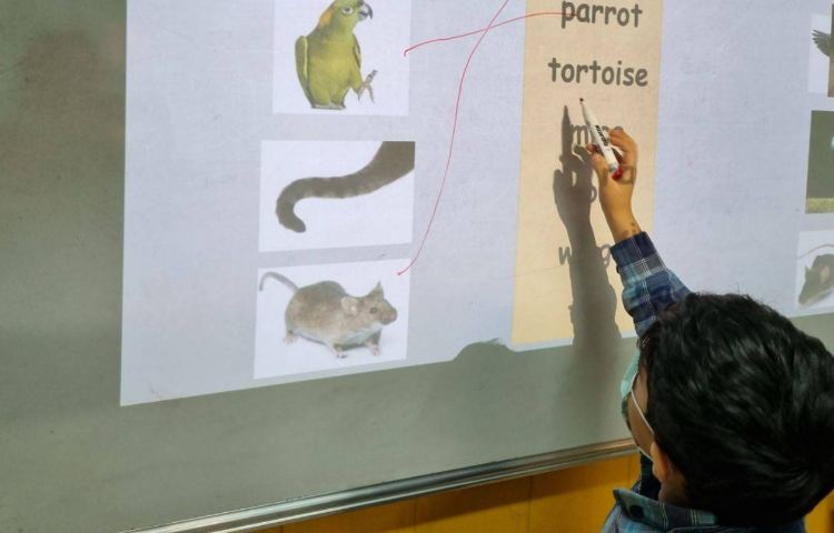 :تدریس نام حیوانات و خواندن و نوشتن آن ها 4