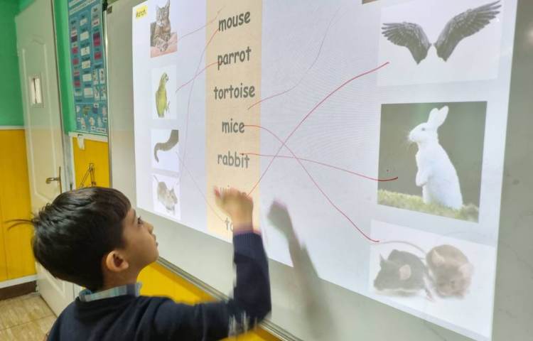 :تدریس نام حیوانات و خواندن و نوشتن آن ها