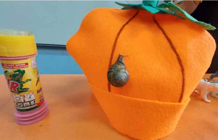 تدریس نشانه ح با ایجاد انگیزه 4