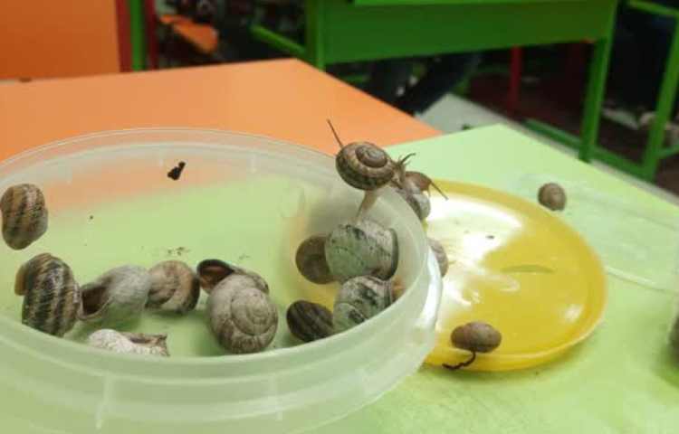 تدریس نشانه ح 3