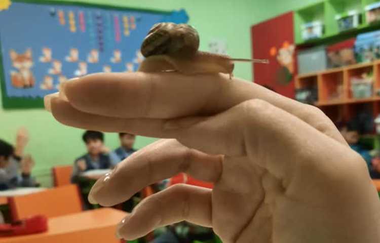 تدریس نشانه ح 4