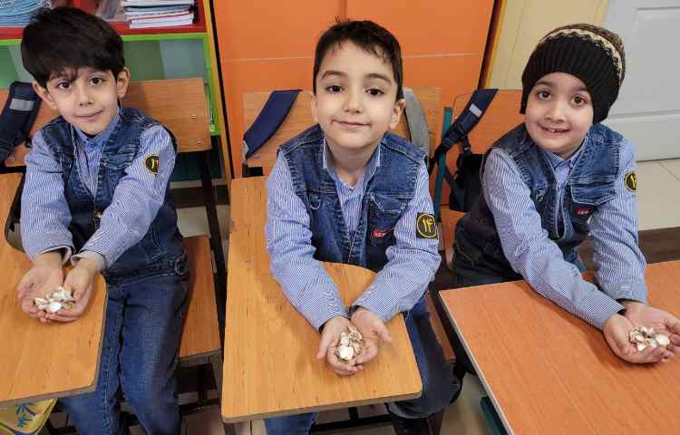 تدریس نشانه ی "ص" بازی با صدف