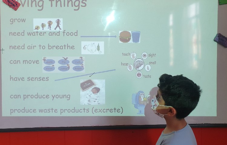 :تدریس ویژگی های موجودات زنده