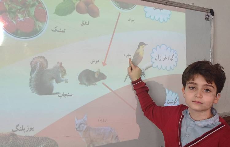 تدریس و تمرین مطالعات 3