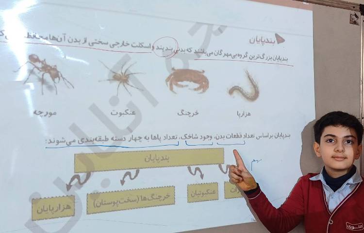 تدریس و حل کتاب کار علوم 1