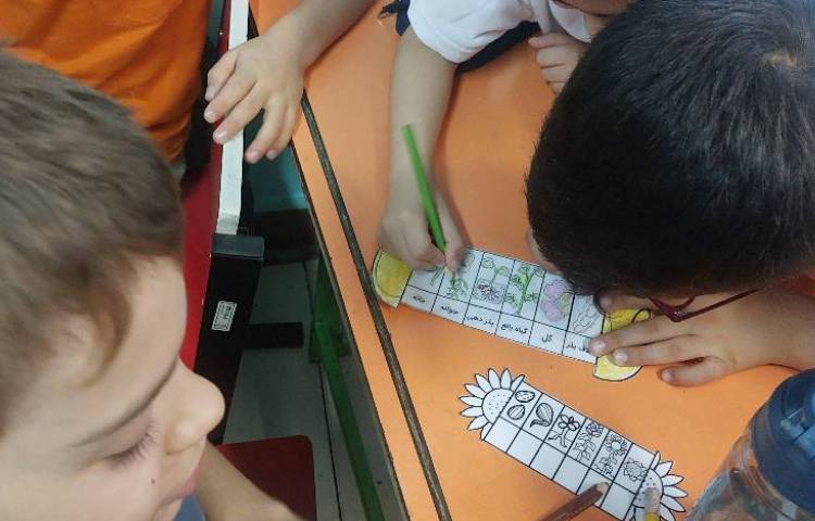 تدریس چرخه ی زندگی گیاهان 3