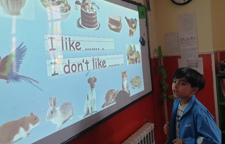 :تدریس گرامر سوال و جواب، Do you lik 5