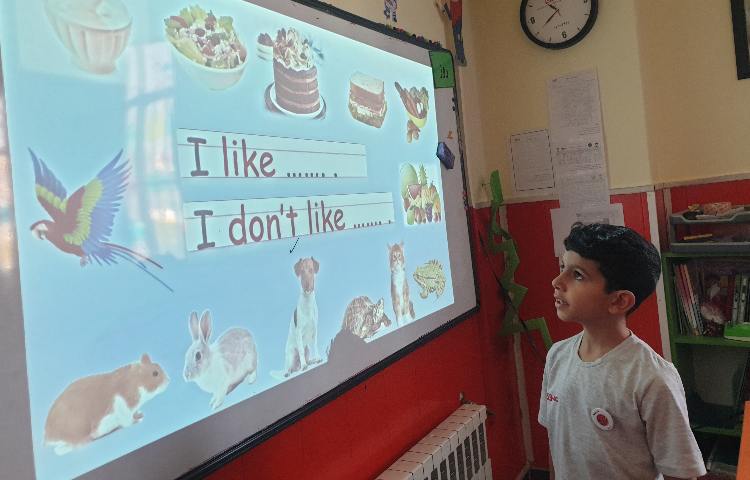 :تدریس گرامر سوال و جواب، Do you lik 6