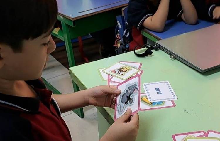 تدریس living and non living (sentence) 1