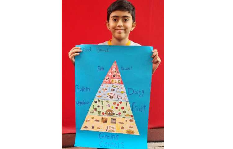 تدریس food pyramid