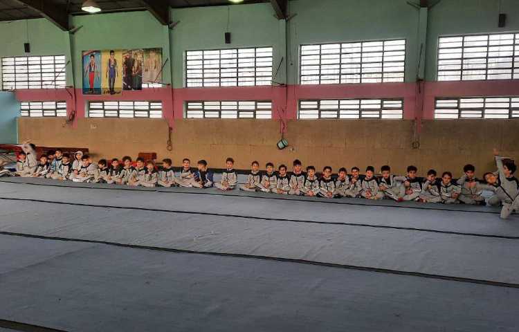 تربیت بدنی 5