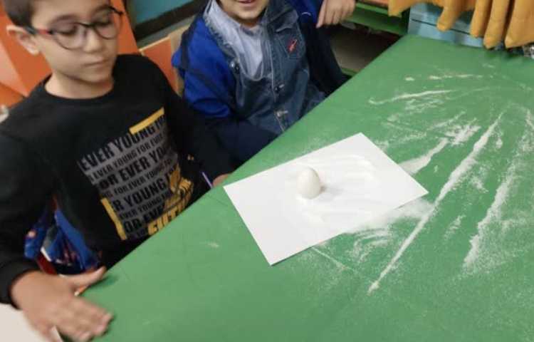 ترفندهای نمکی تعادل تخم مرغ هفته ملی علوم 1