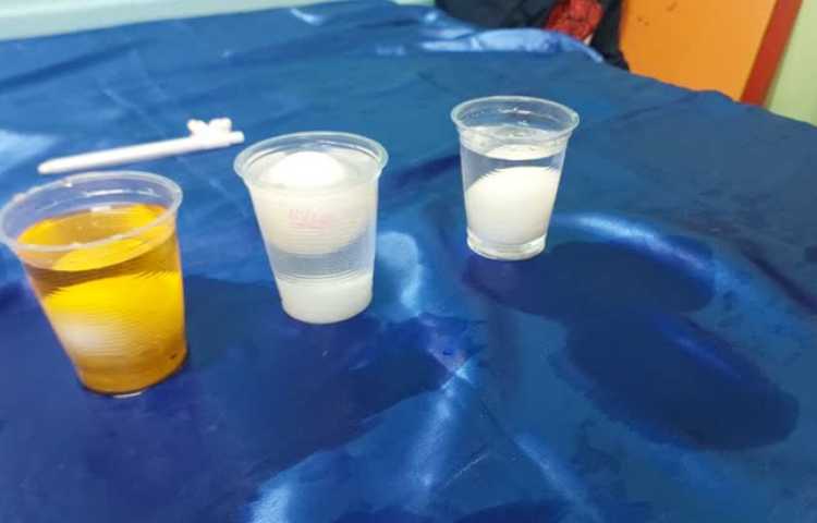 ترفندهای نمکی هفته ملی علوم 1