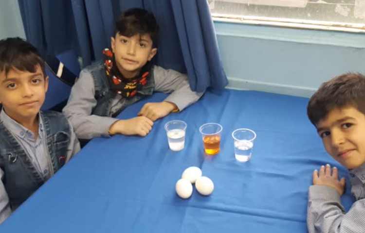 ترفندهای نمکی 1