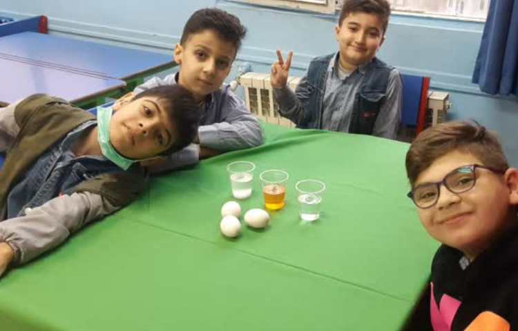 ترفندهای نمکی 2