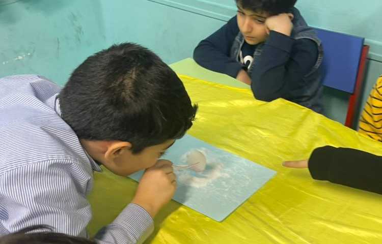 ترفند های نمکی هفته ملی علوم