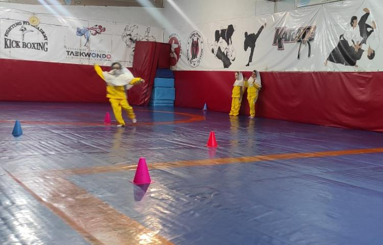 تست دو با مانع 2