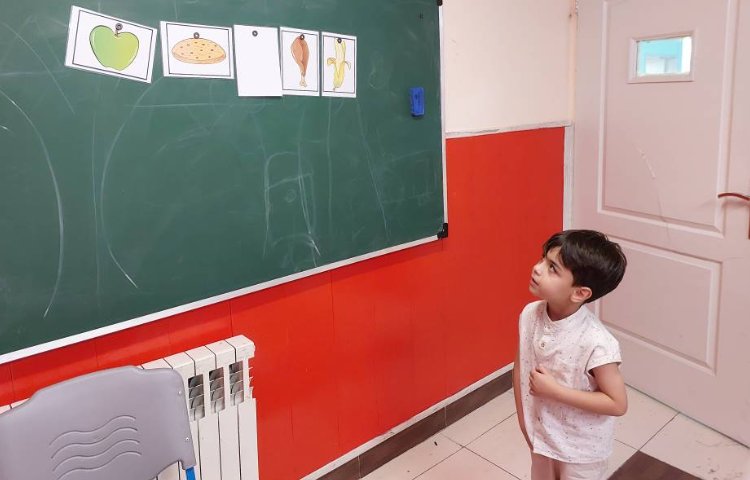 : تشخیص خوراکی ها 2