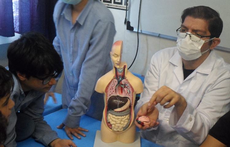 تشریح آناتومی بدن انسان درس زیست شناسی 4