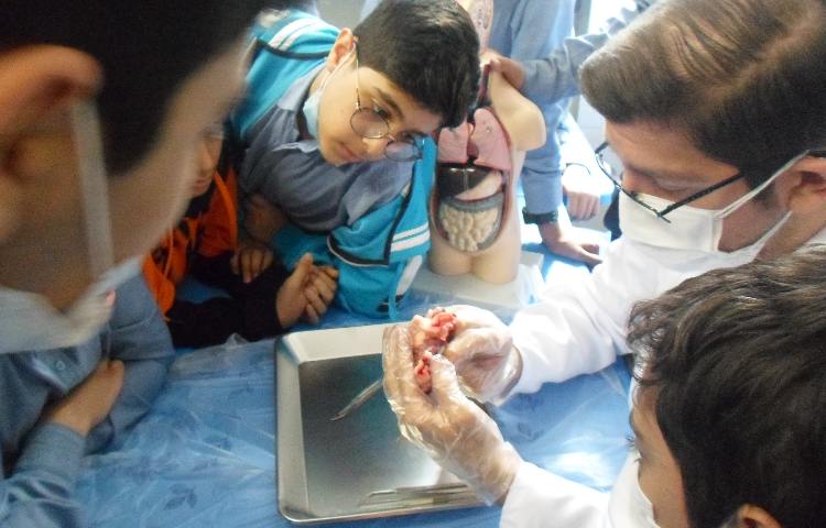 تشریح قلب حیوانات درس زیست شناسی 5