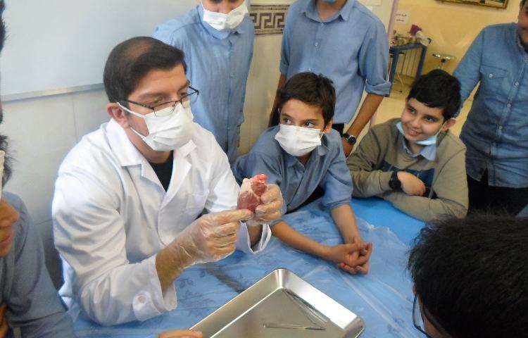 تشریح قلب حیوانات درس زیست شناسی