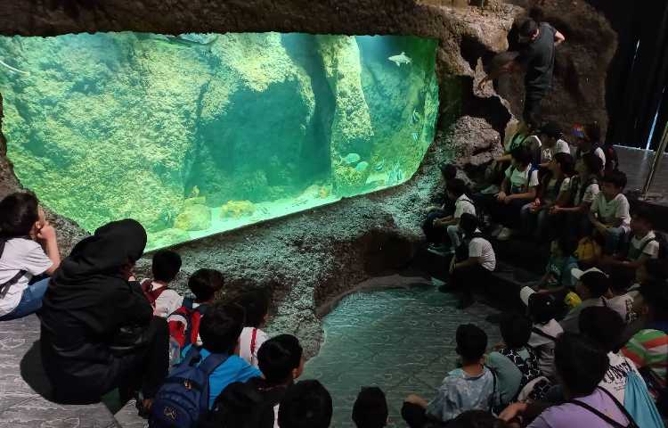 تصاویر مربوط به اردوی اقیانوس پارک 1