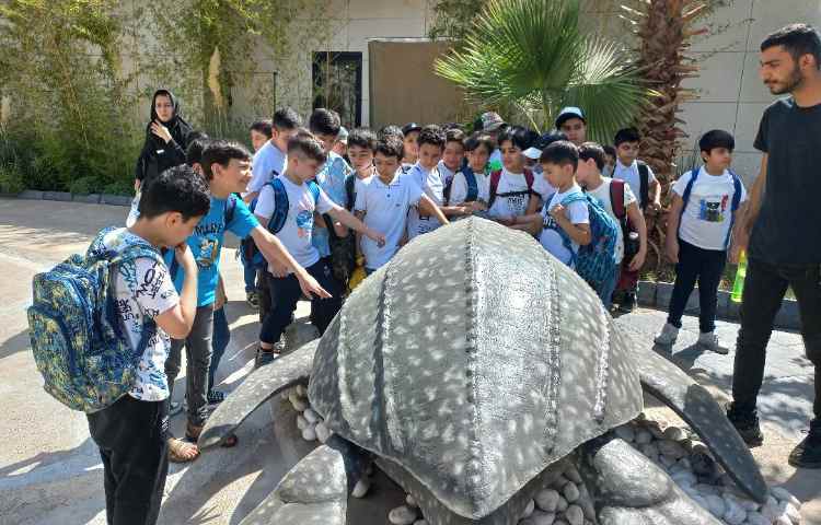 تصاویر مربوط به اردوی اقیانوس پارک 3