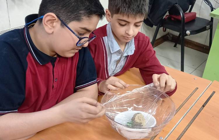 تصفیه‌ی آب 5