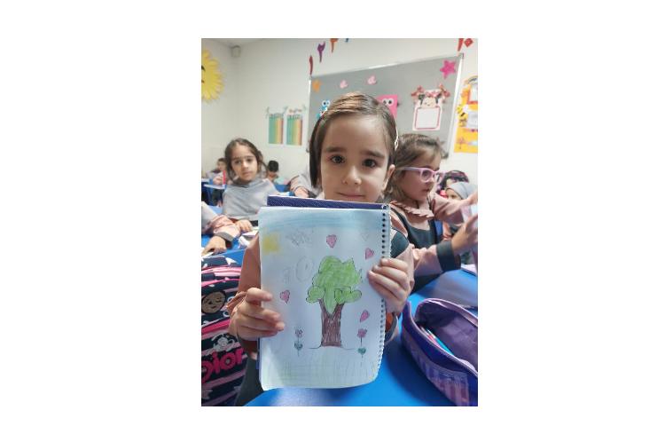 تصویر سازی درخت، سنگ ، خورشید 3
