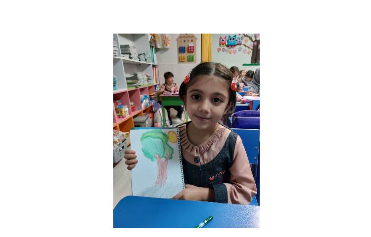 تصویر سازی درخت، سنگ ، خورشید 6
