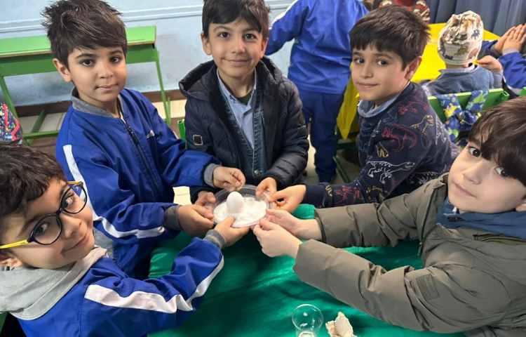 تعادل تخم مرغ و کافه سلامت هفته ملی علوم