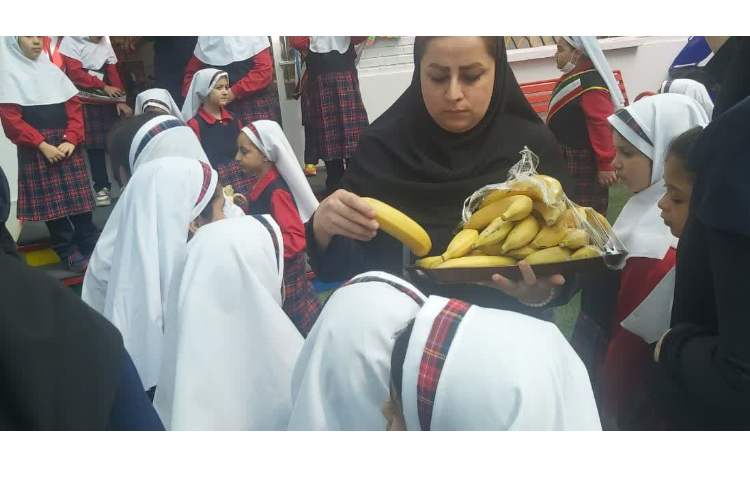 تغذیه سالم 2