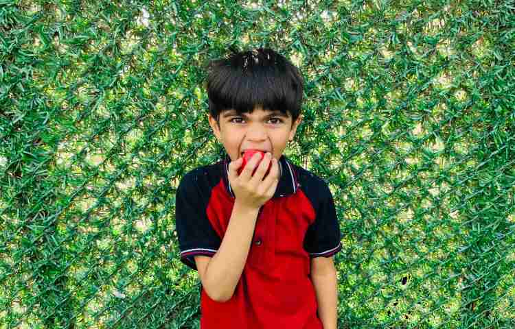 تغذیه سالم 3