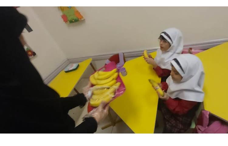 تغذیه سالم 4