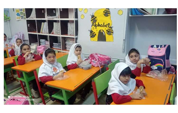 تغذیه سالم 4