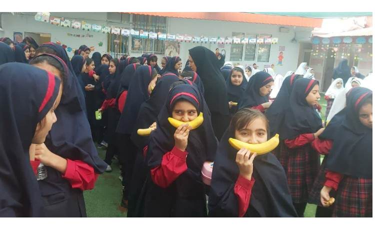 تغذیه سالم 5