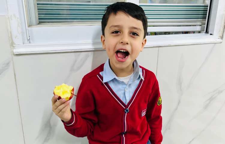 تغذیه سالم 6