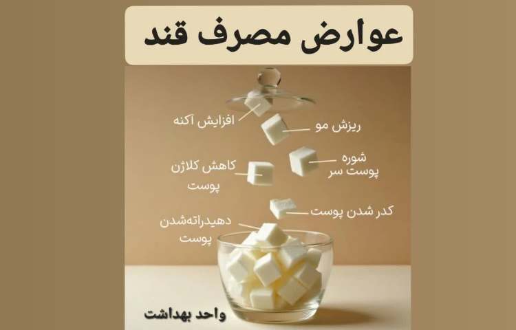 تغذیه