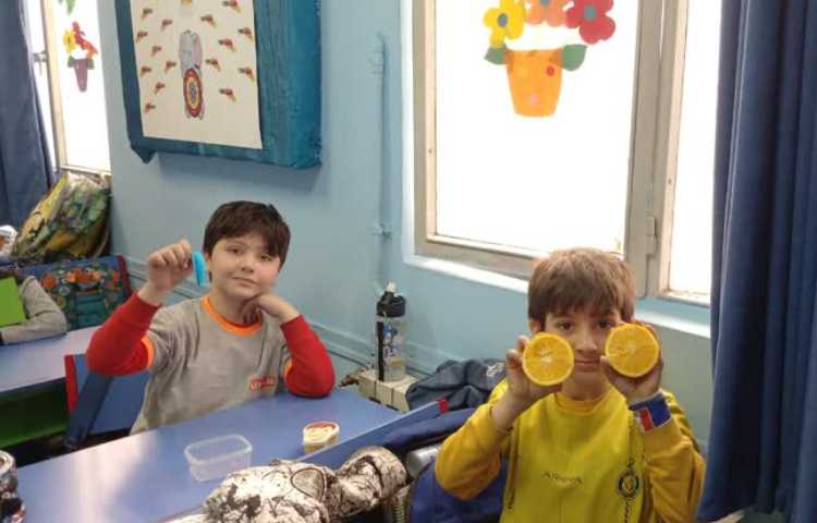 تقارن دو قسمتی 4