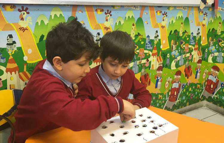 تقویت مهارت دست‌ورزی-زنگ زبان عمومی 3